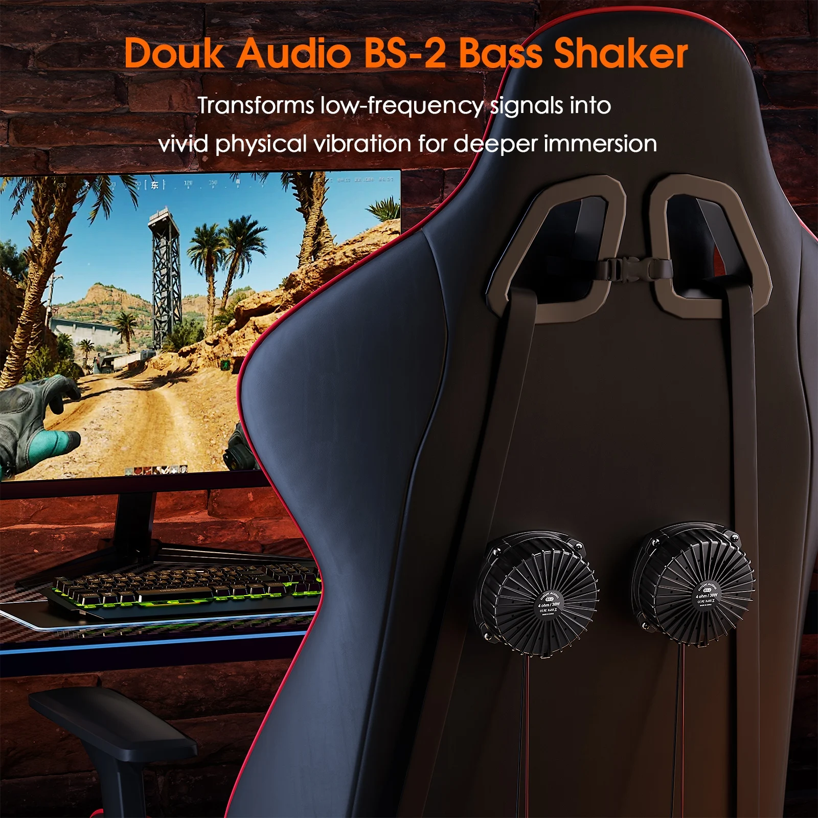 Douk Audio BS-2 30W 4Ω Bass Sh - Home Cinema Chairs review and price