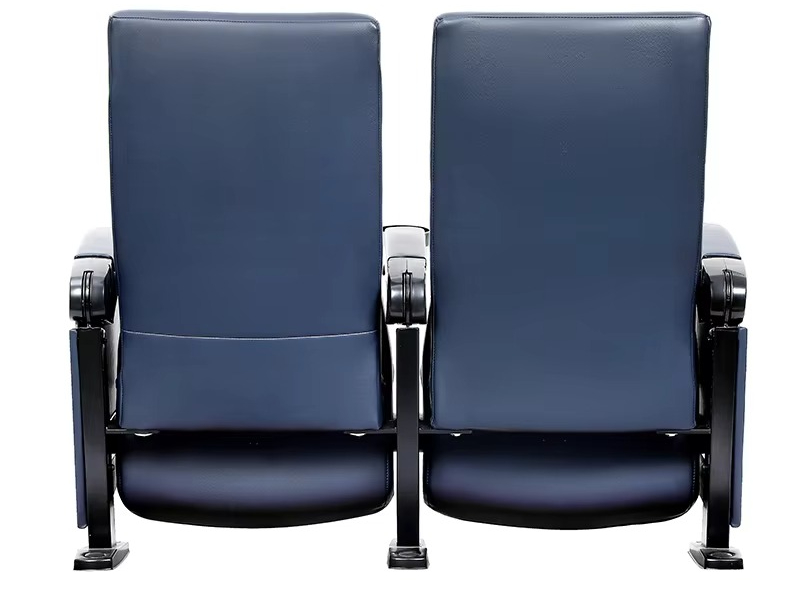 Custom Comfortable Movie Theat - Home Cinema Chairs review and price
